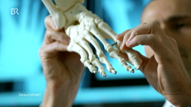 Ein Arzt greift an die Fußknochen eines Schulungs-Skeletts